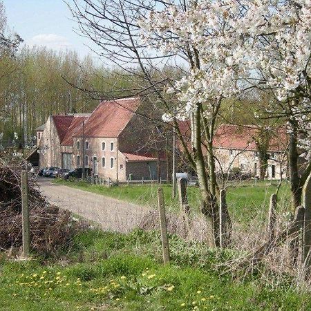 De Verborgen Parel B&B Борглон Экстерьер фото