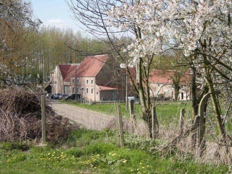 De Verborgen Parel B&B Борглон Экстерьер фото