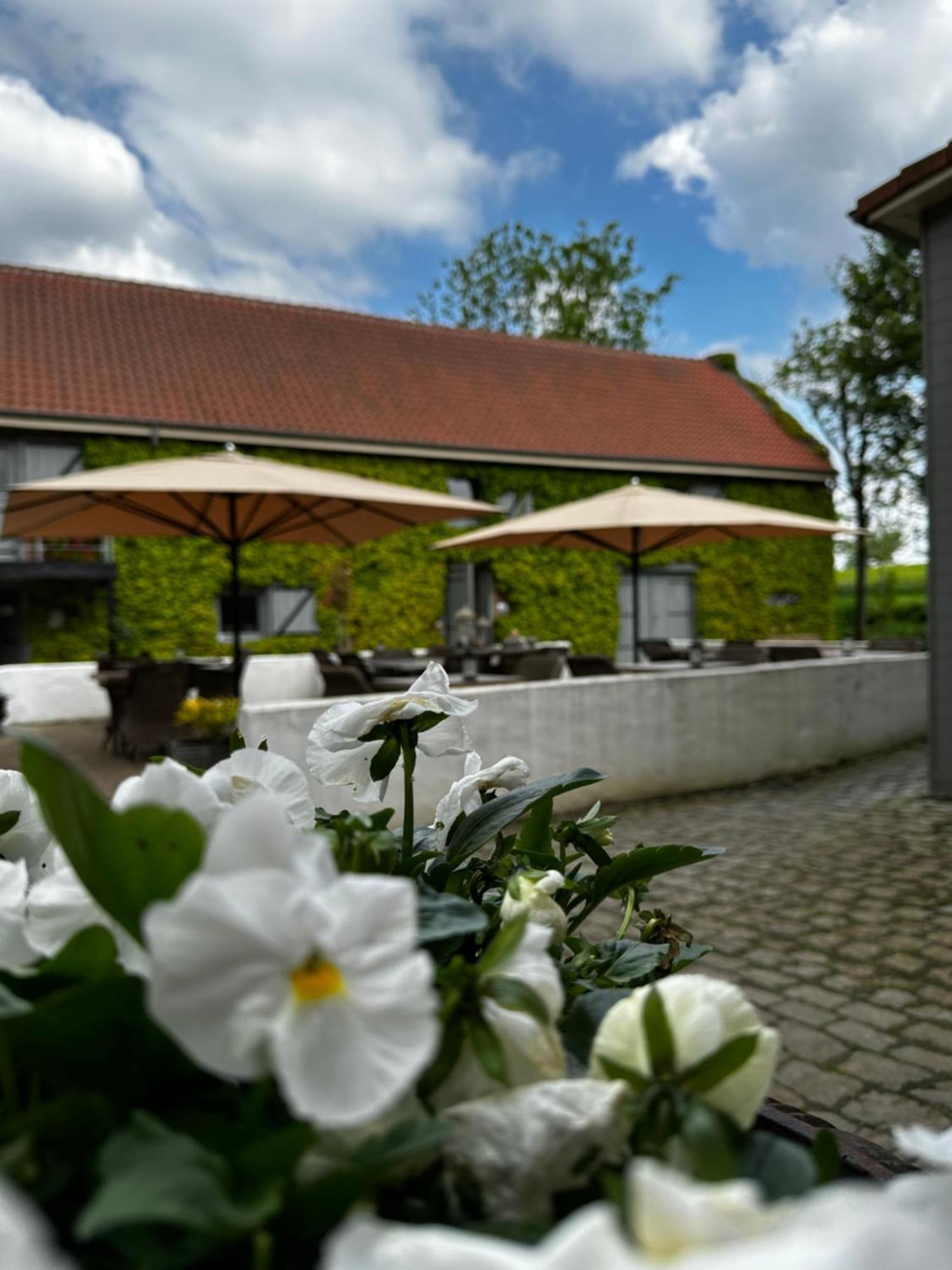 De Verborgen Parel B&B Борглон Экстерьер фото